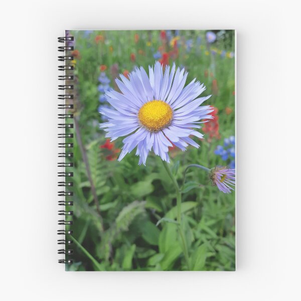 Item preview, Aster In The Meadow designed and sold by northernflicker.