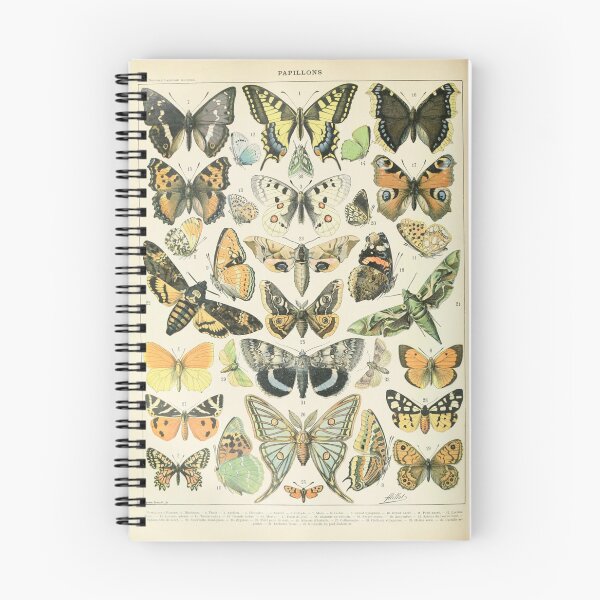 Item preview, Papillons A - Adolphe Millot designed and sold by starrylite.