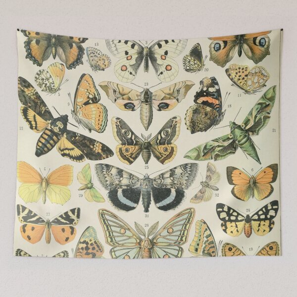 Item preview, Papillons A - Adolphe Millot designed and sold by starrylite.