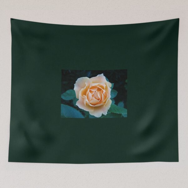 Aperçu de l'œuvre Rose de pêche ~ créée et vendue par virginian.
