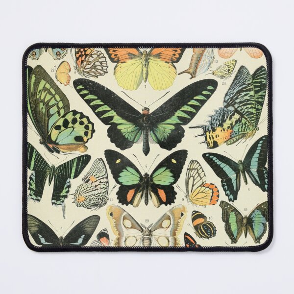Item preview, Papillons B - Adolphe Millot designed and sold by starrylite.