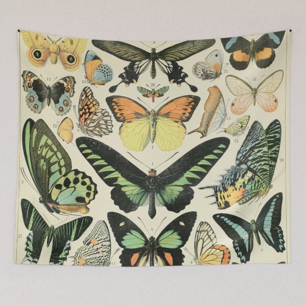 Item preview, Papillons B - Adolphe Millot designed and sold by starrylite.