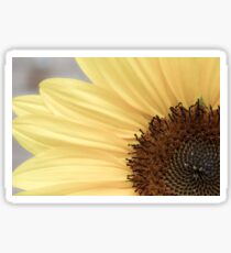 Macro Sunflower Photography Sticker