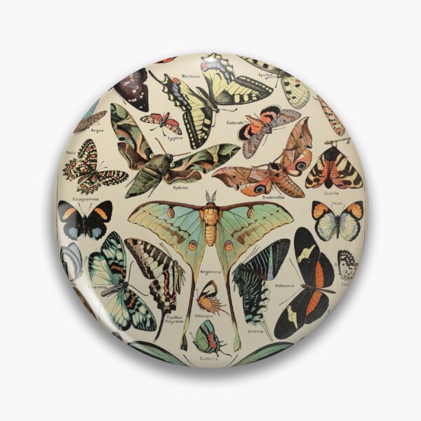 Item preview, Papillons Pour Tous - Adolphe Millot designed and sold by starrylite.