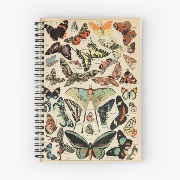 Item preview, Papillons Pour Tous - Adolphe Millot designed and sold by starrylite.