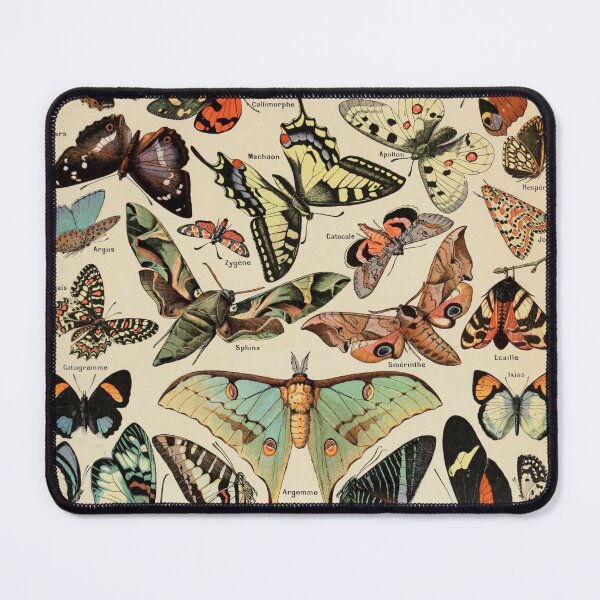 Item preview, Papillons Pour Tous - Adolphe Millot designed and sold by starrylite.