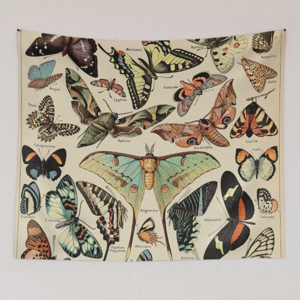 Item preview, Papillons Pour Tous - Adolphe Millot designed and sold by starrylite.