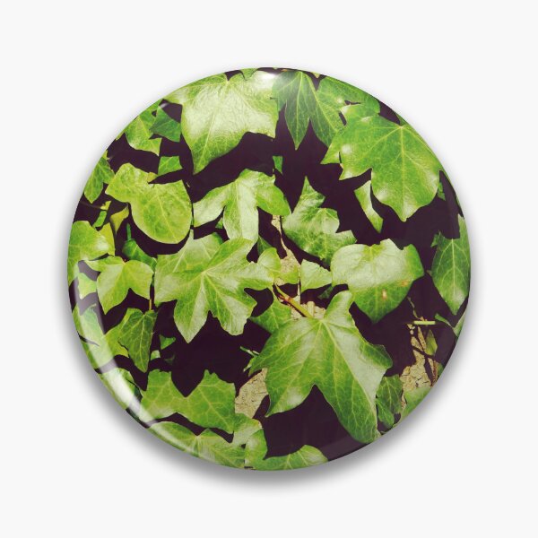 Item preview, Sunny Ivy Leaves Close-up - Botanical Pattern Photography designed and sold by CarolinaReina.