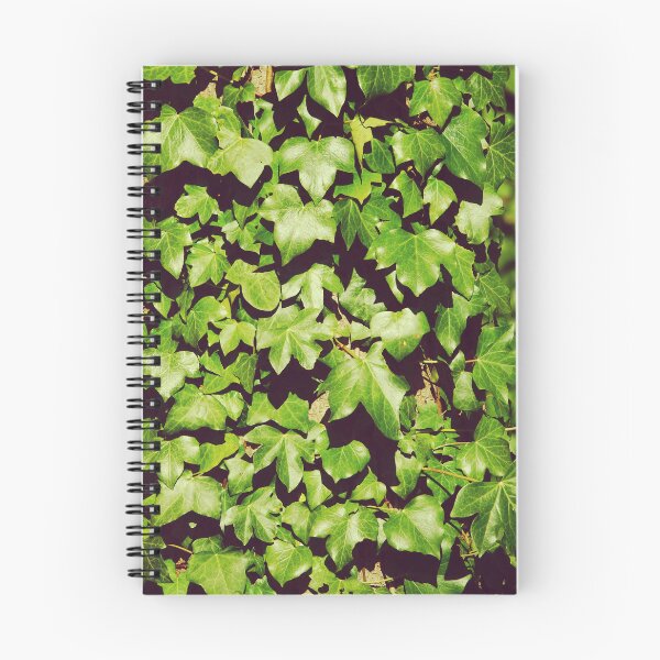 Item preview, Sunny Ivy Leaves Close-up - Botanical Pattern Photography designed and sold by CarolinaReina.