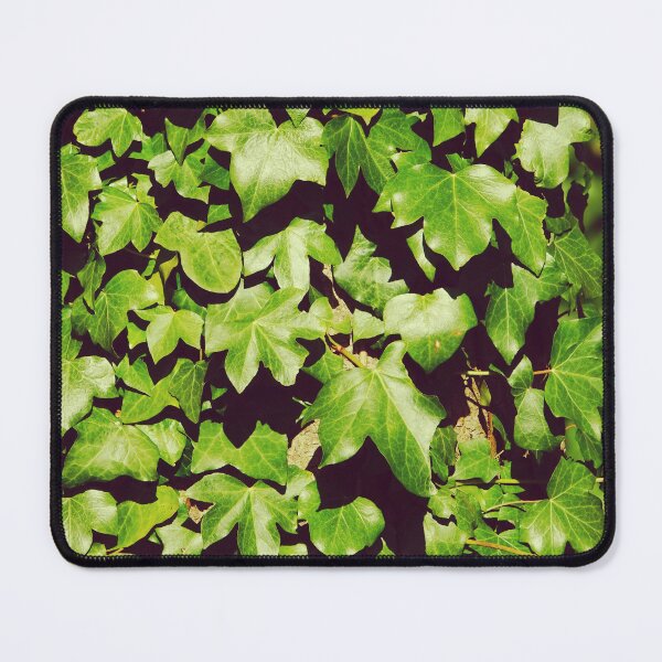 Item preview, Sunny Ivy Leaves Close-up - Botanical Pattern Photography designed and sold by CarolinaReina.