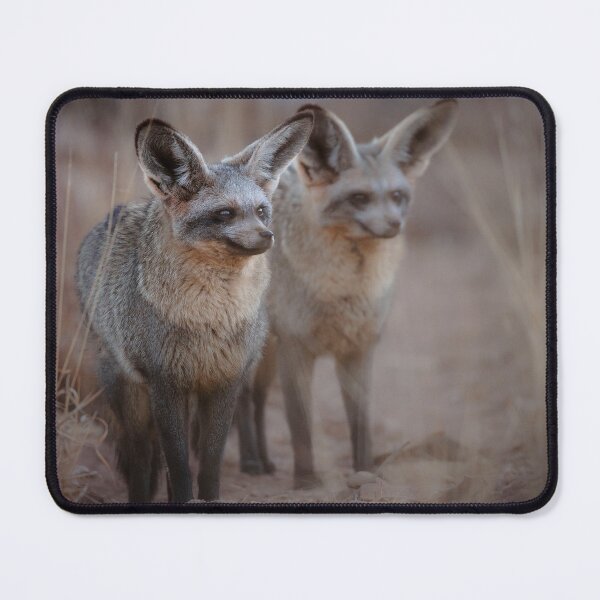 Item preview, Lia and Jojo designed and sold by Riana Van Nieuwenhuizen.