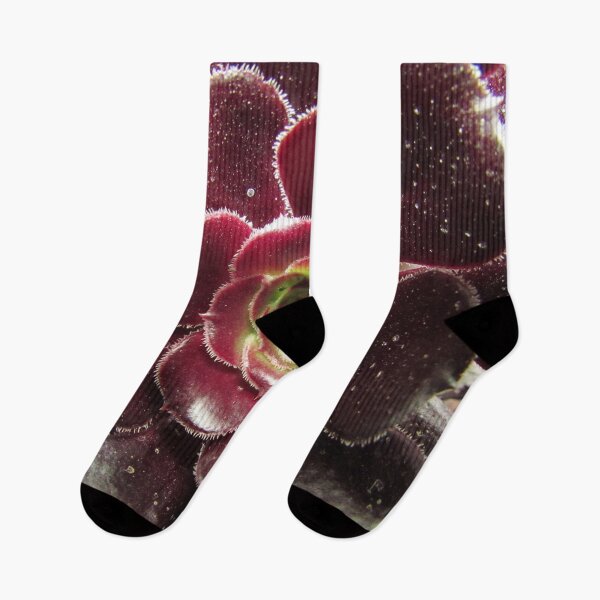 Item preview, Black Rosy Succulent - Nature Patterns designed and sold by MSistersDesigns.