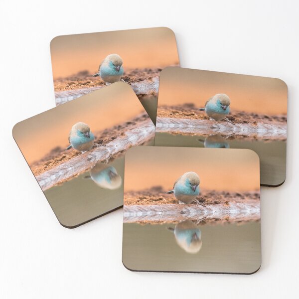 Item preview, Blue waxbill gazing at its reflection. designed and sold by WindsorTees.