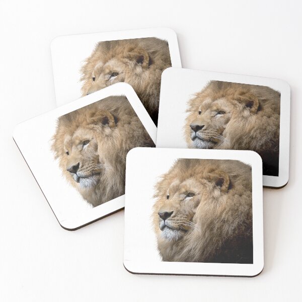 Item preview, photo of lion head designed and sold by JAG2B.
