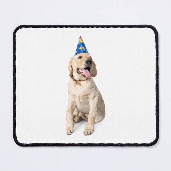 Item preview, a festive labrador for birthday designed and sold by JAG2B.