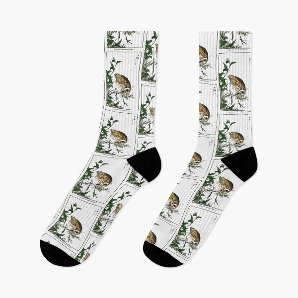 Item preview, Numata Kashu Greenshank and Bupleurum  designed and sold by sJsfXEFH.