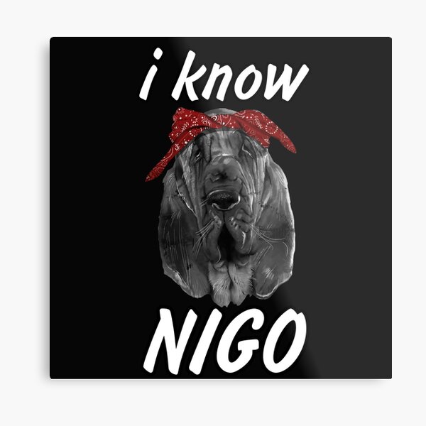 I Know Nigo, Various Artists Album Cover Photographic Print for Sale by  Hays Graphics