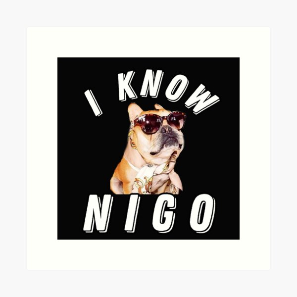I Know Nigo, Various Artists Album Cover Photographic Print for Sale by  Hays Graphics