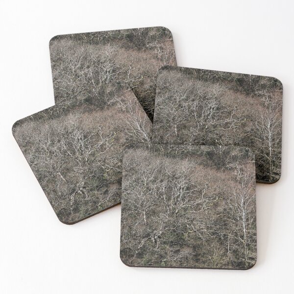 Item preview, Three Cliffs Woodland designed and sold by Dave Hare Photography.