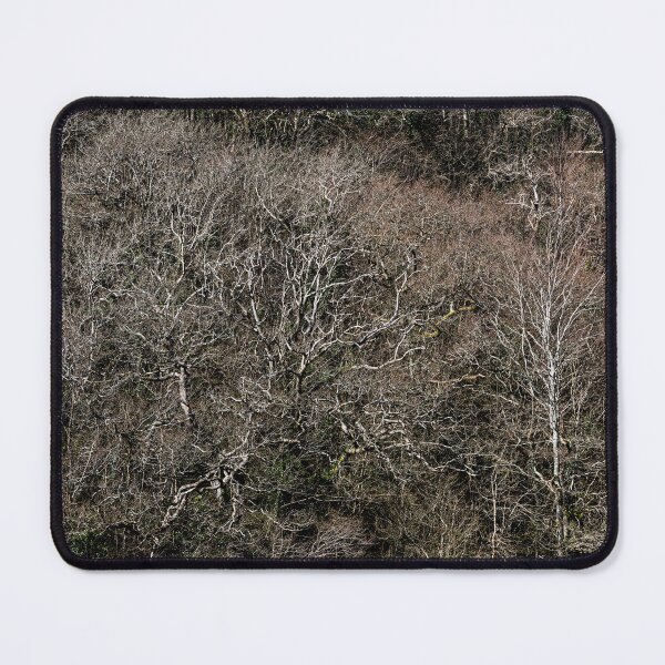 Item preview, Three Cliffs Woodland designed and sold by Dave Hare Photography.