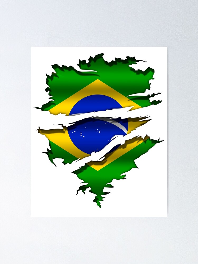 Flag of Brazil Peace symbols, Open Source Art, flag, logo, tattoo png |  PNGWing