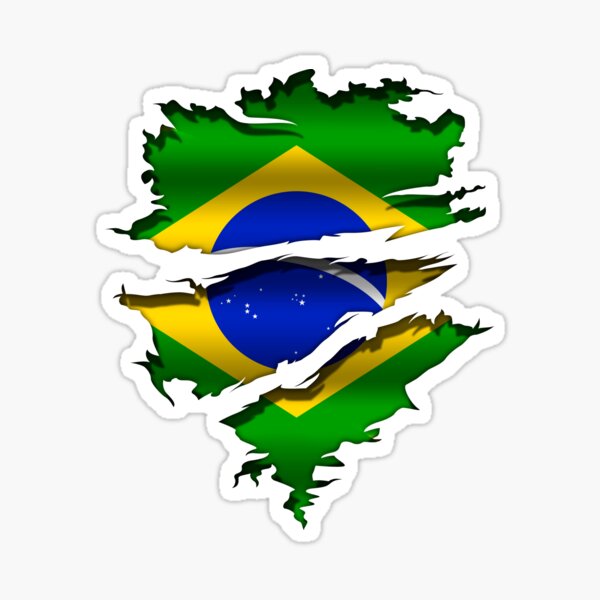 Tattoo uploaded by Mr. Chu Tattoo - André Chuahy • #brazil #Braziltattoo # brasil #talainktattoo #tattoocampinas #brazilianflag • Tattoodo