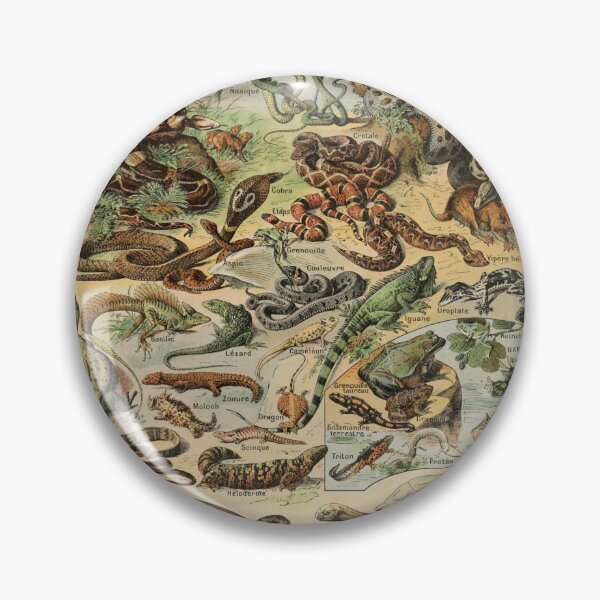 Item preview, Reptiles Pour Tous - Adolphe Millot designed and sold by starrylite.
