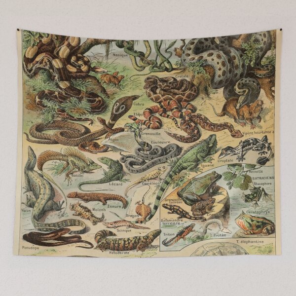 Item preview, Reptiles Pour Tous - Adolphe Millot designed and sold by starrylite.