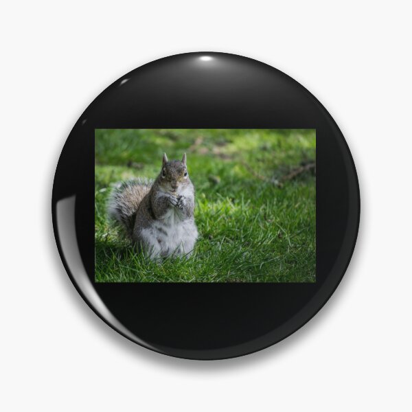 Item preview, Squirrel Classic . designed and sold by wygalorebaug.