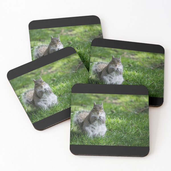 Item preview, Squirrel Classic . designed and sold by wygalorebaug.