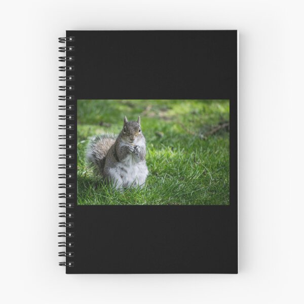 Item preview, Squirrel Classic . designed and sold by wygalorebaug.