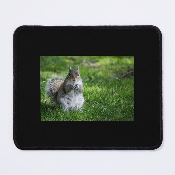 Item preview, Squirrel Classic . designed and sold by wygalorebaug.