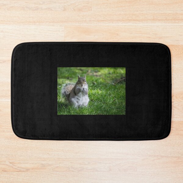 Item preview, Squirrel Classic . designed and sold by wygalorebaug.