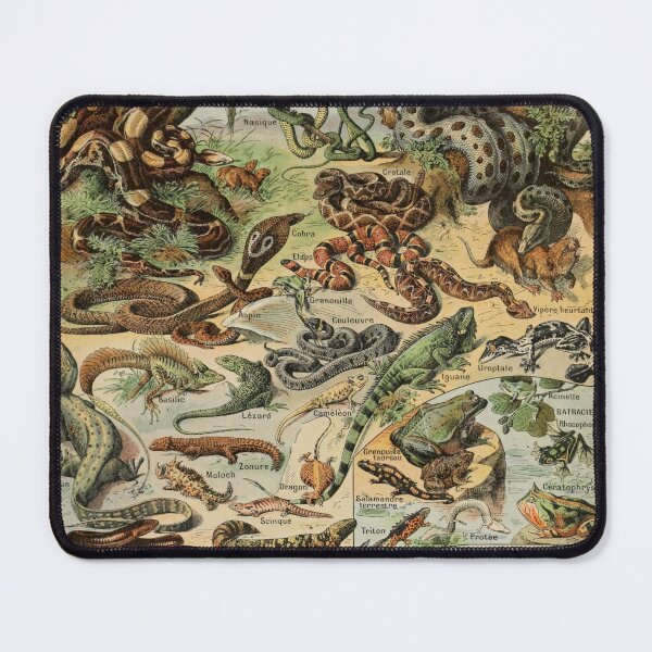 Item preview, Reptiles Pour Tous - Adolphe Millot designed and sold by starrylite.