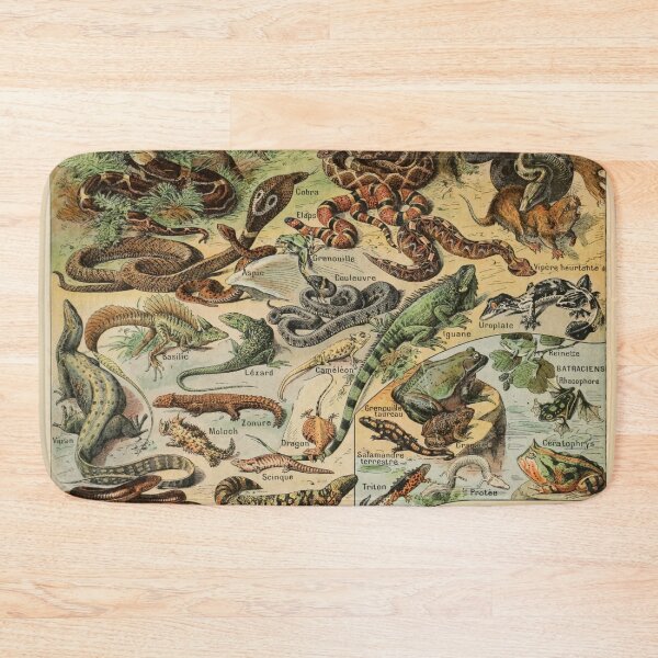 Item preview, Reptiles Pour Tous - Adolphe Millot designed and sold by starrylite.