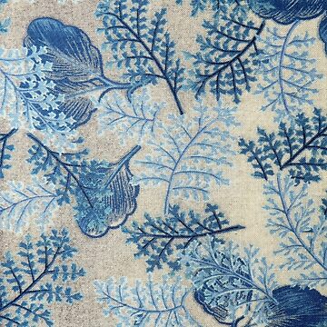 Artwork thumbnail, Blue Fern Print by JiggsFashion