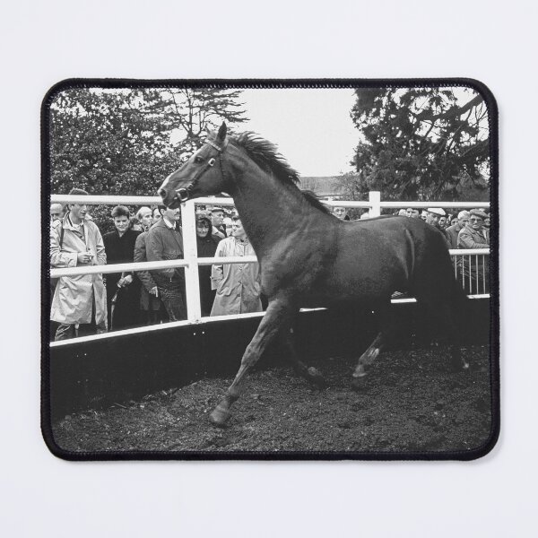 Item preview, r657/ silver time " Open day at Haras de Saintes (17) France 1981 - Journée porte Ouverte au Haras de Saintes " Okaio Créations Olavia-Olao designed and sold by o.okaïo.