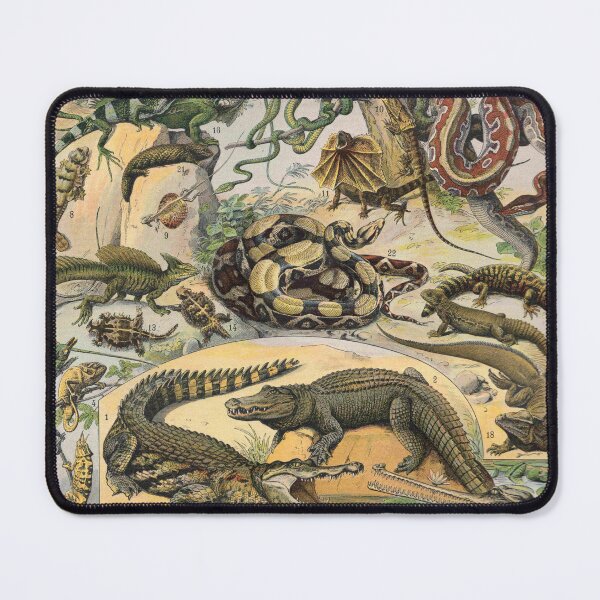 Item preview, Reptiles - Adolphe Millot designed and sold by starrylite.