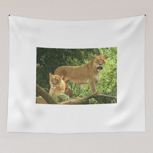 Item preview, Say Cheese designed and sold by AnnDixon.