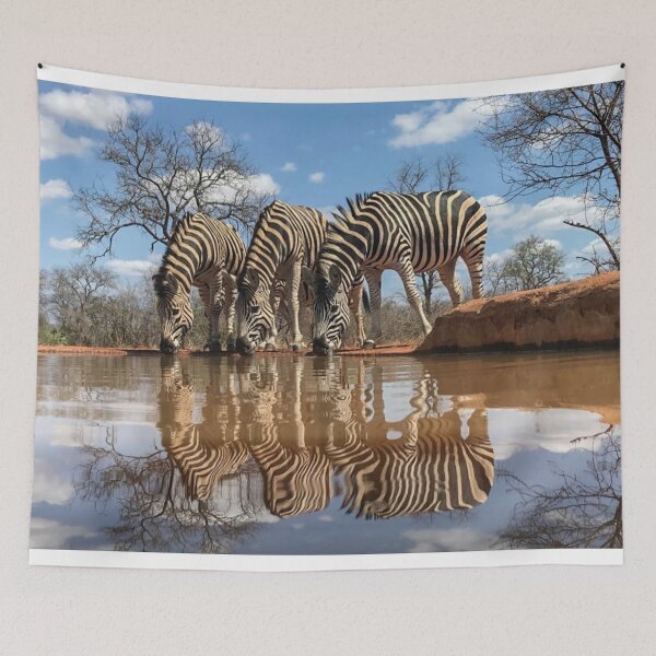 Item preview, Wild zebra drinking at a waterhole. designed and sold by WindsorTees.