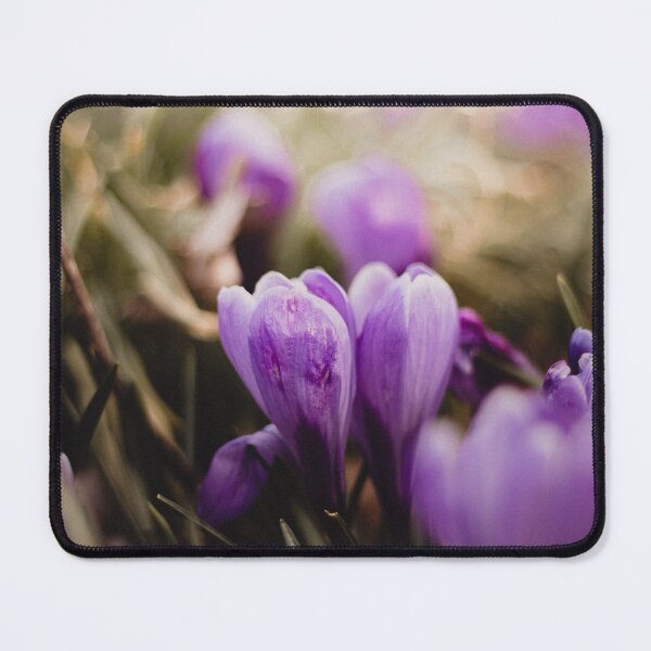 Item preview,  Saffron designed and sold by asun5.