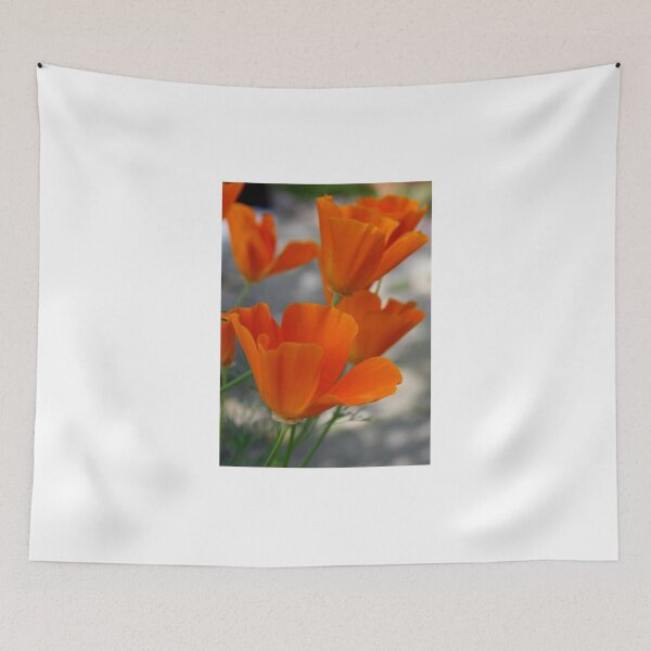 Item preview, California Poppy on Vancouver Island BC Canada designed and sold by AnnDixon.