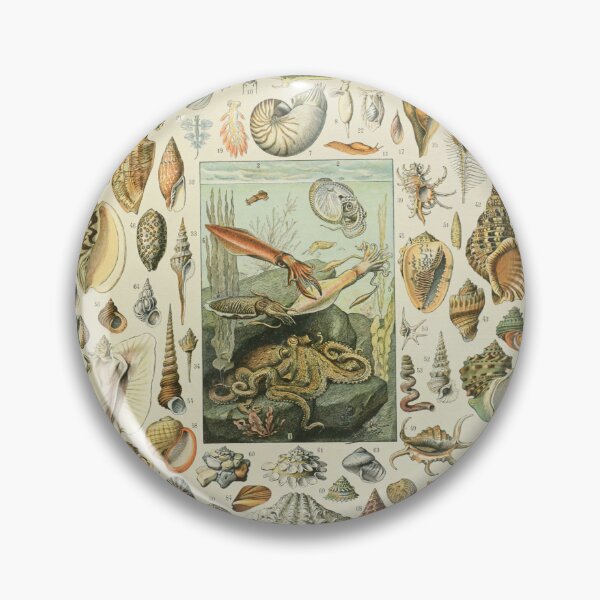 Aperçu de l'œuvre Mollusques - Adolphe Millot créée et vendue par starrylite.