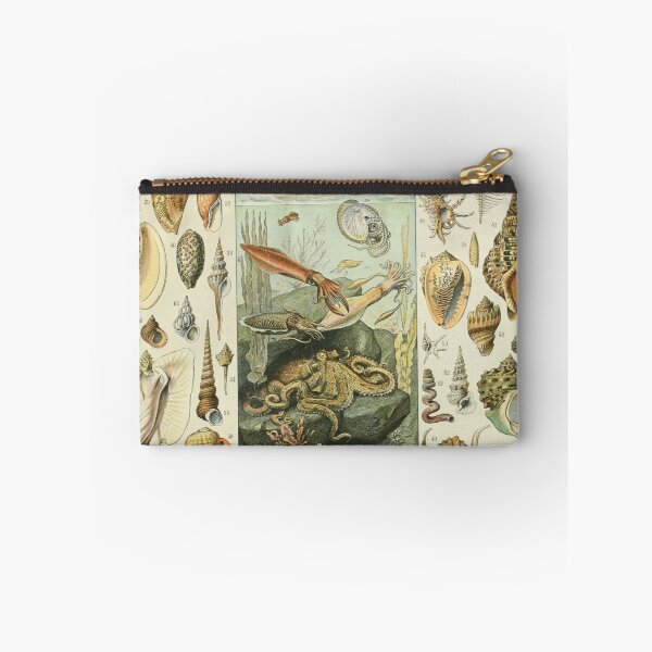 Aperçu de l'œuvre Mollusques - Adolphe Millot créée et vendue par starrylite.