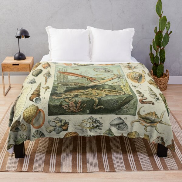 Item preview, Mollusques - Adolphe Millot designed and sold by starrylite.