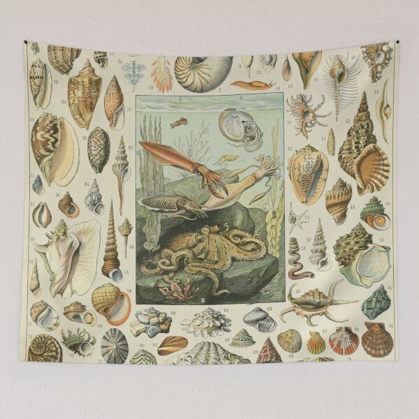 Aperçu de l'œuvre Mollusques - Adolphe Millot créée et vendue par starrylite.