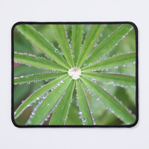 Item preview, Drops dripped. Dewdrop designed and sold by SVETLANA ZOLOTAREVA.