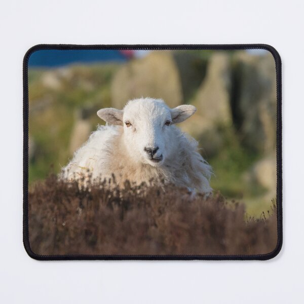 Item preview, Sheep designed and sold by LaurenTucker.