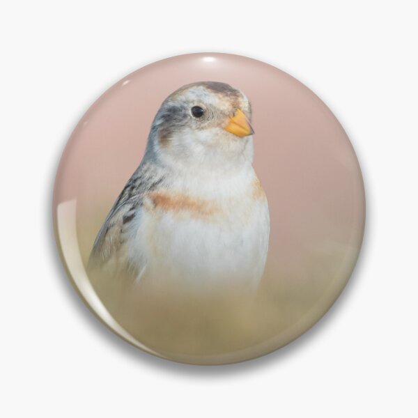 Item preview, Snow Bunting designed and sold by LaurenTucker.