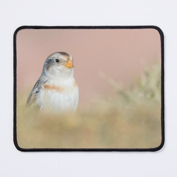 Item preview, Snow Bunting designed and sold by LaurenTucker.